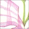QD-Lavender Bouquet